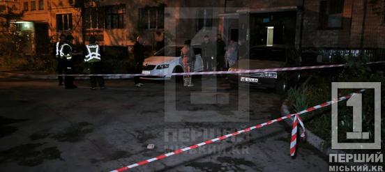 Вибух на 5-му Гірницькому: у Кривому Розі невідомі підірвали предмет, схожий на гранату2