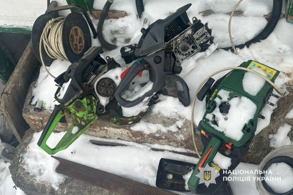 Судитимуть трьох жителів Дніпра, які  незаконно рубали ліс і завдали збитків довкіллю на майже 2 млн грн