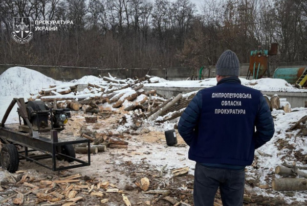 Судитимуть трьох жителів Дніпра, які  незаконно рубали ліс і завдали збитків довкіллю на майже 2 млн грн
