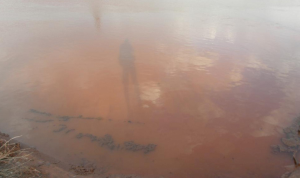 Забруднення водоймища - фото ілюстративне з відкритих джерел