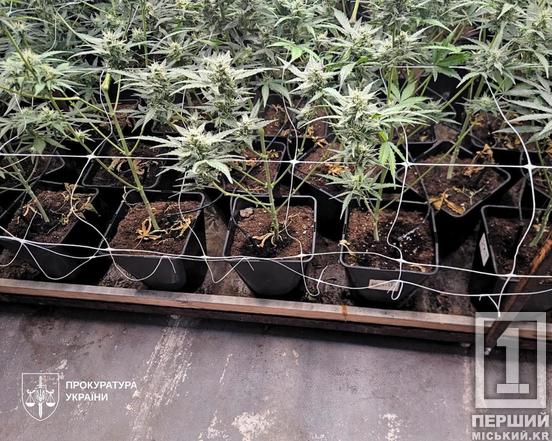 9 мільйонів доз наркотиків та 12 лабораторій: в Україні завершилася масштабна спецоперація «Джентельмени»