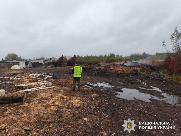 Адвоката та двох спільників судитимуть за незаконне виробництво деревного вугілля на Житомирщині