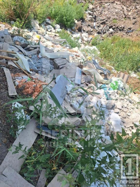Екологічне порушення на Зарічному: у Покровському районі виявили велике стихійне сміттєзвалище
