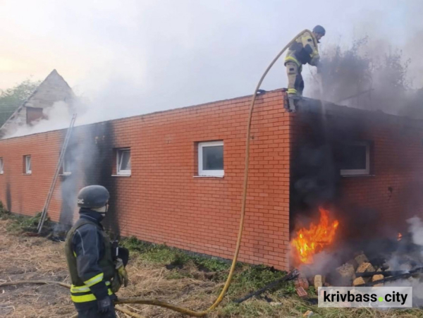 Криворіжжя опинилося під атакою російських безпілотників: що відомо про наслідки