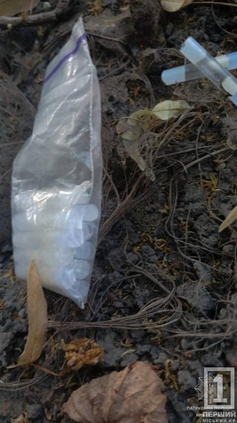 Понад 30 наркозлочинів з початку липня: у Кривому Розі поліція перевіряє підозрілих осіб