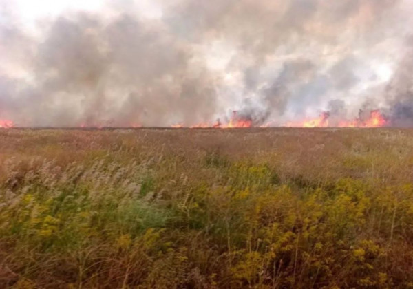 Пожежі в заповіднику «Асканія-Нова» знищили майже 2 тисячі гектарів унікального степу