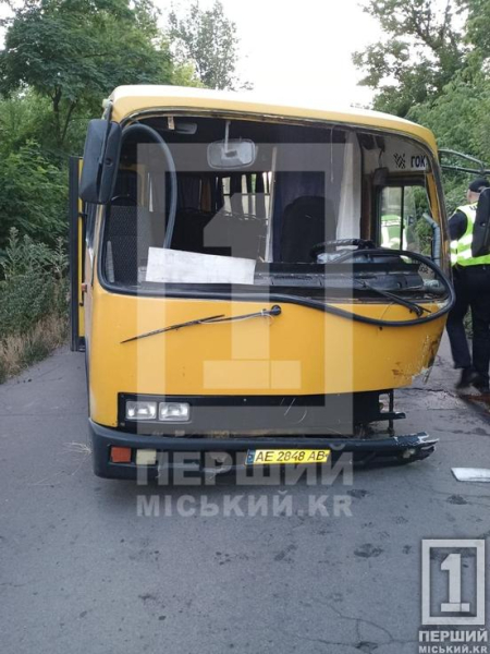 Смертельні обійми металу: під Кривим Рогом легковик влетів у пасажирський автобус
