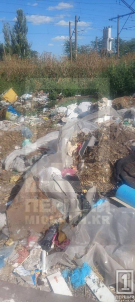 «Свині» і досі серед нас: на вулиці Чорноморській у Кривому Розі утворилося стихійне звалище
