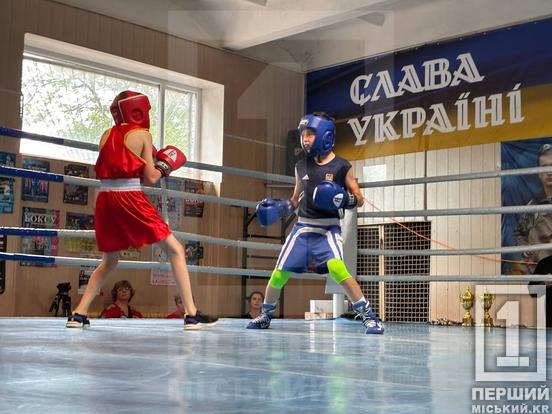У Кривому Розі відбувся 18-й турнір з боксу «Кубок вікінгів»
