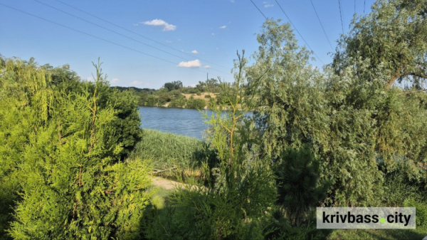 Відпочинок біля води може обернутися лікарнею: де у Кривому Розі знайшли холероподібний вібріон