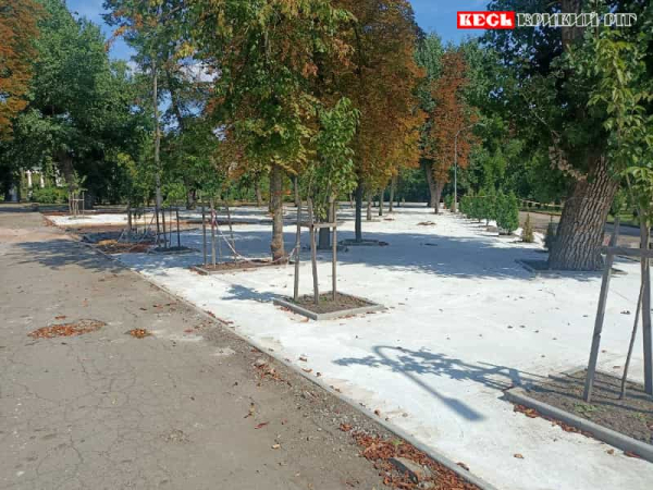 Газон забетонували в парку Мершавцева в Кривому Розі