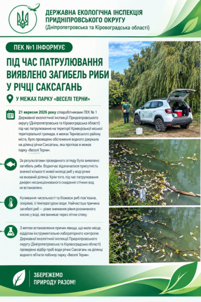 Криворіжці скаржаться на загибель риби в Саксагані: офіційна реакція екологів