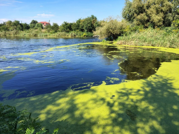 На Криворіжжі перевірили стан басейну річки Інгулець: деталі та причини