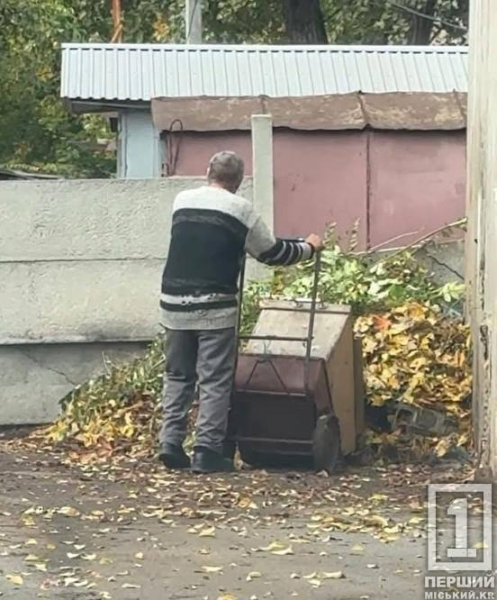 Економлять на вивезенні та плодять звалища: у Кривому Розі двірники керуючих компаній скидають гілля й листя біля смітників