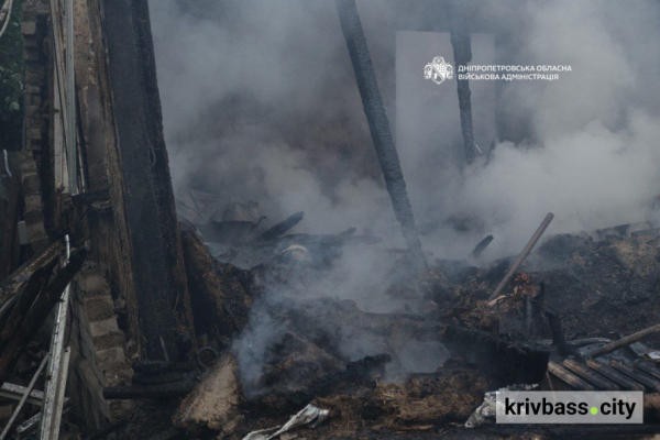 На Дніпропетровщині загинула людина, 11 поранені: що відомо про удари по Криворіжжю