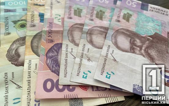 Програму «Національний кешбек» можуть закрити: у Раді назвали причину