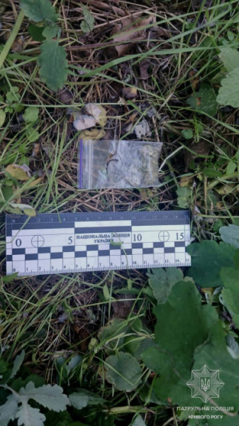У Кривому Розі в лісосмузі знайшли 69 трубочок із наркотиками