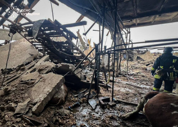 Ворожий удар по фермі на Сумщині забрав життя працівниці, ще четверо людей постраждали