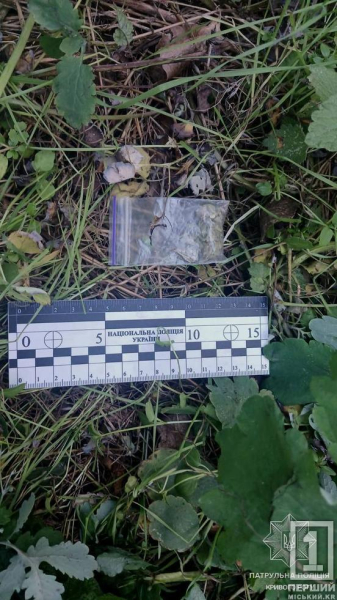 Зіп-пакет і 69 трубочок: у криворізькій лісосмузі поліція знайшла сховок з імовірними наркотиками